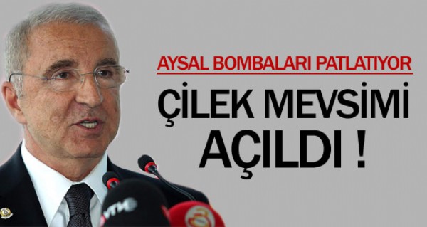 Aysal ilek mevsimini at